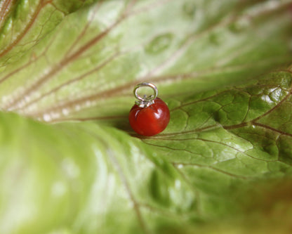 Pendentif tomate posé sur une feuille de salade sur un fond rouge